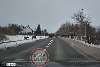 Z vánočních nákupů už lidem hrabe. Někteří zapomněli řídit | Mistři volantu